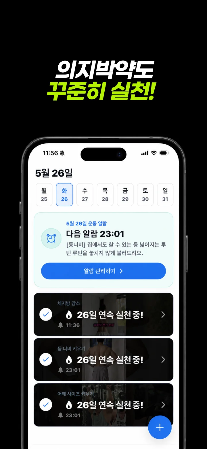 운동 알림과 연속 실천 루틴을 보여주는 머스트핏 홈 화면