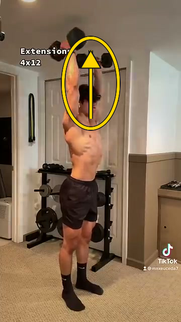 Overhead Dumbbell Extension Overhead Dumbbell Extension 팔꿈치 고정과 삼두 수축