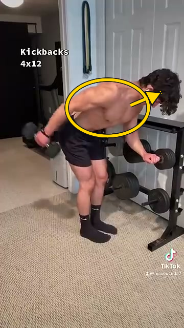 Dumbbell Kickbacks Dumbbell Kickbacks 팔을 뒤로 펴는 삼두 수축