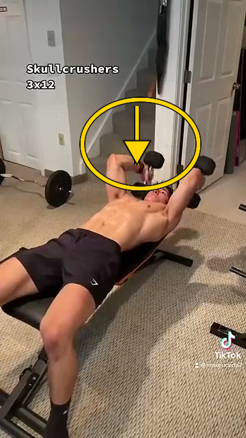 Dumbbell Skullcrushers Dumbbell Skullcrushers 팔꿈치 굽힘과 펴기 경로