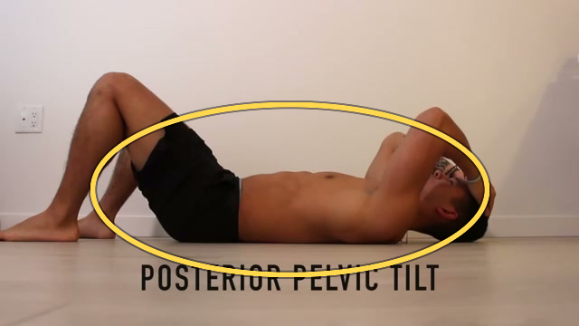 Lying Pelvic Tilts exercise frame highlight