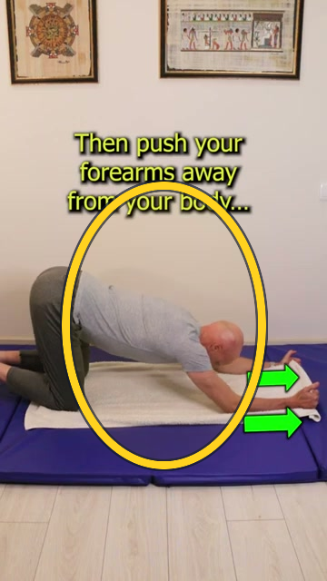 Kneeling Scapular Slide with Towel exercise frame highlight
