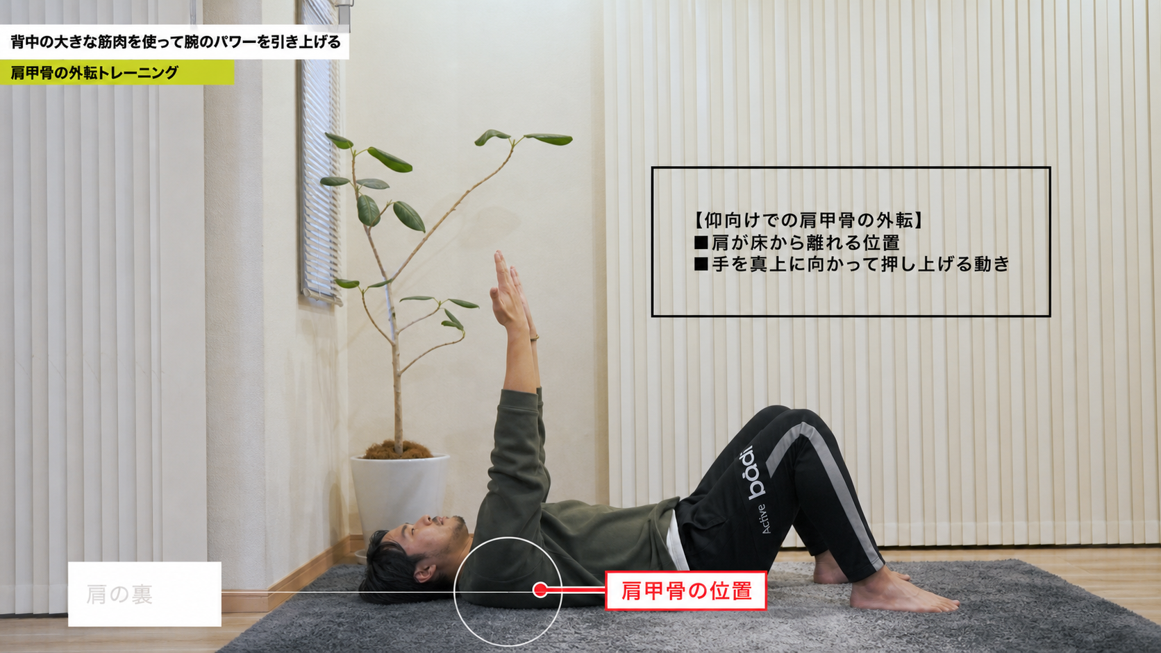 仰向けでの前鋸筋外転トレーニングの動作フレーム