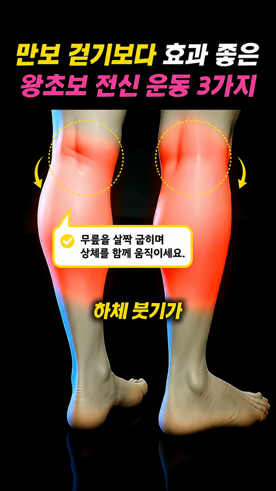 [체지방 감소] 까치발 들기 왕초보 운동 2 - 하체 + 상체 연동 동작