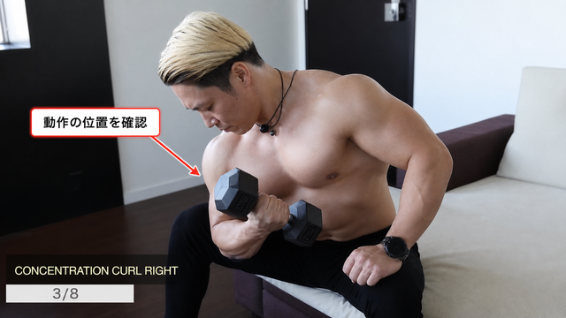コンセントレーションカールの動作フレーム