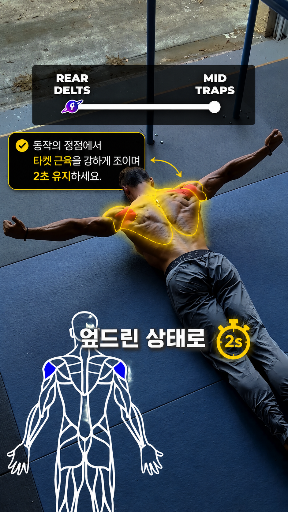 [하부승모근 강화] Y 레이즈 주요 동작 피크 수축
