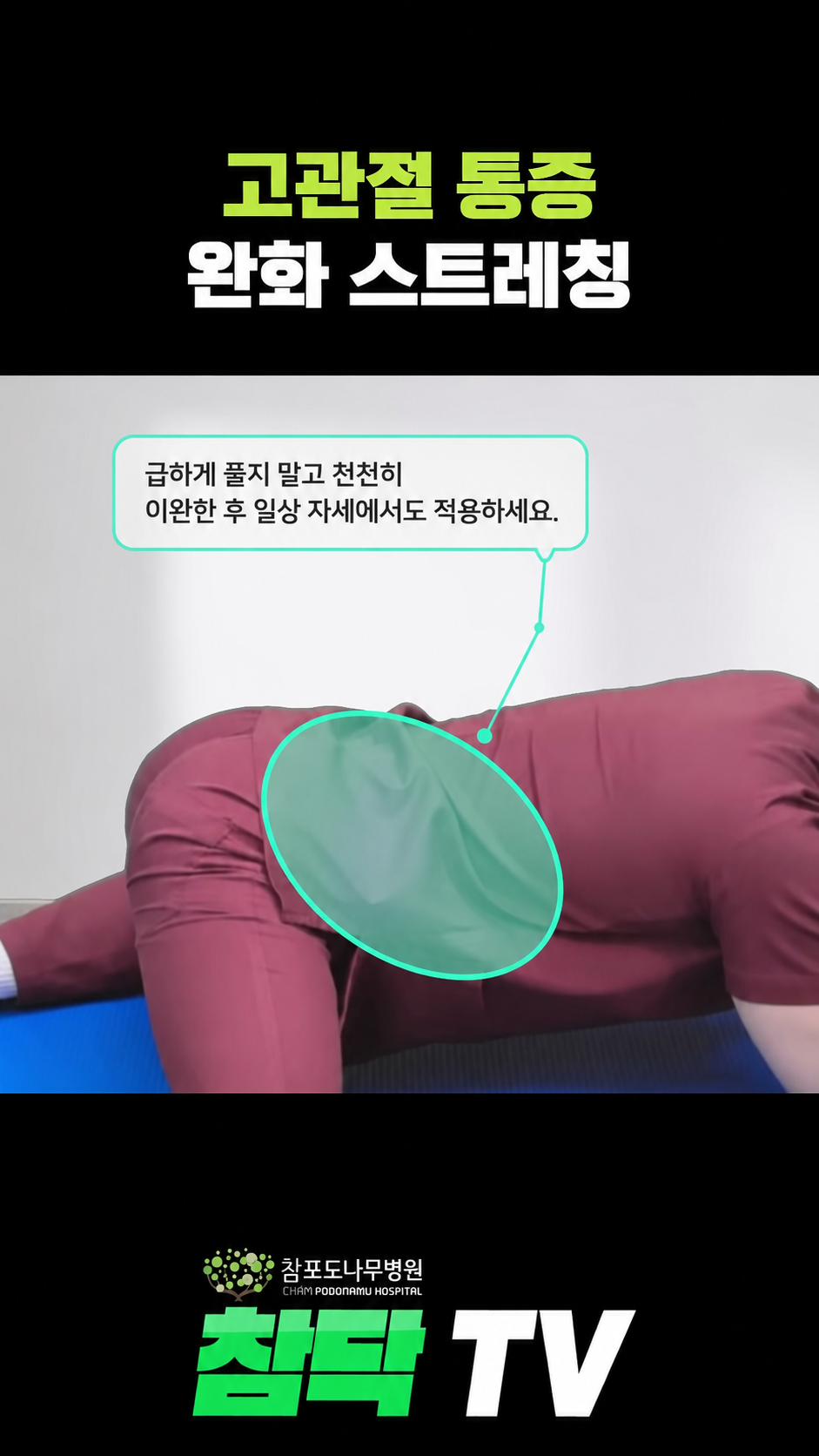 고관절 가동성 향상을 위한 개구리 스트레칭 제어 이완 + 일상 적용