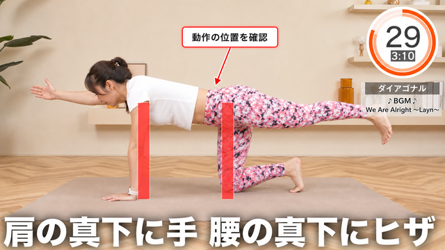 ダイアゴナルの動作フレーム