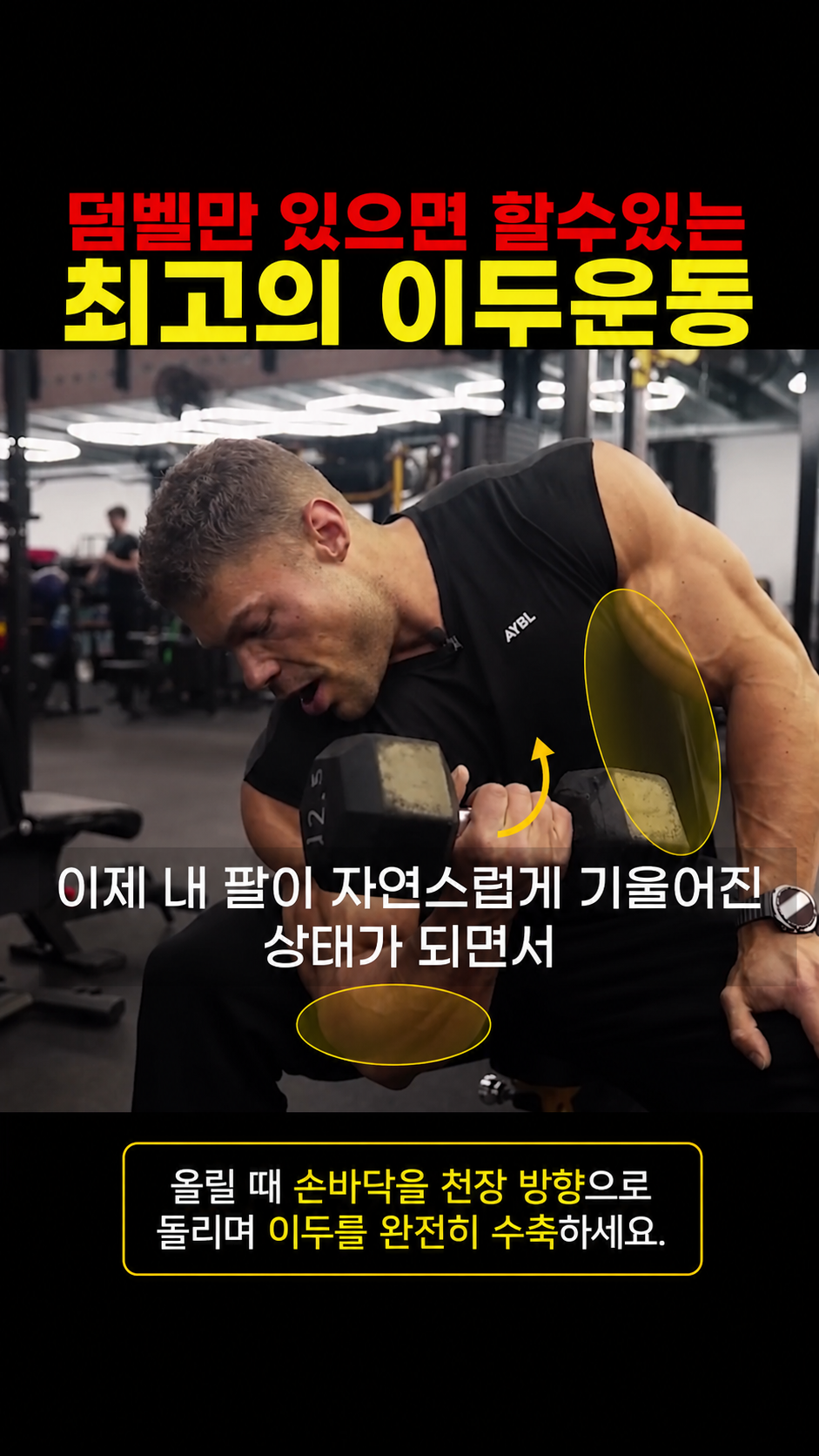 앉아서 하는 변형 컨센트레이션 컬 정점 수축 시 완전한 외회전(수퍼네이션)