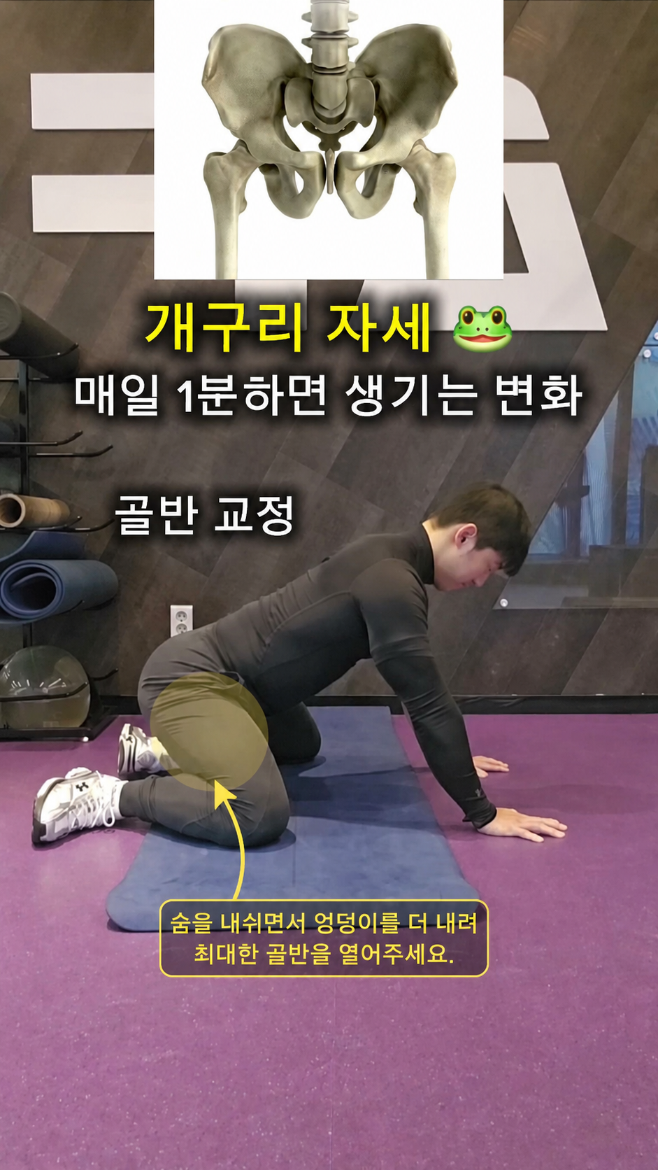 개구리 자세 스트레칭 고관절 깊게 열기 (스트레치 피크)