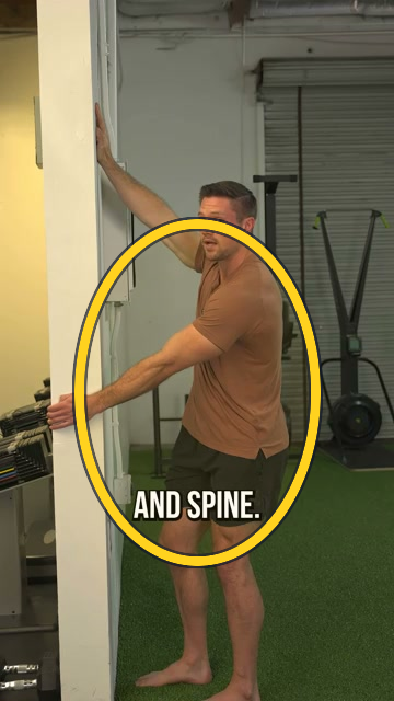Wall scapular retraction and rotation exercise frame highlight
