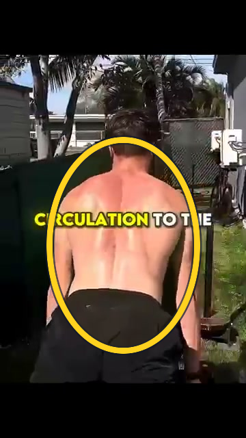 Trap 3 raise exercise frame highlight