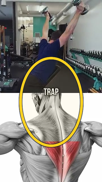 Trap 3 Raise exercise frame highlight