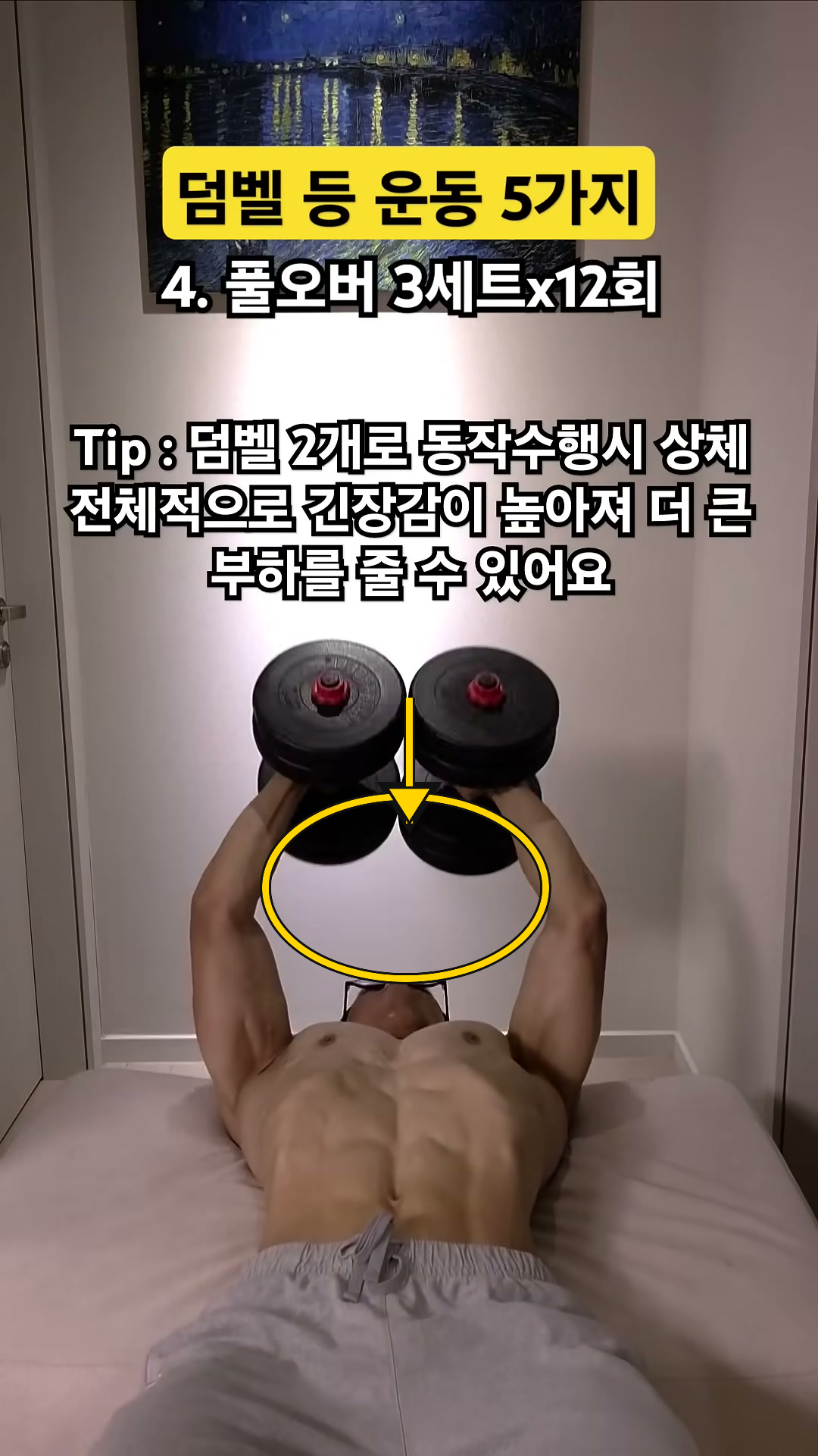 [등너비] 풀오버 동작 구간 대표 자세