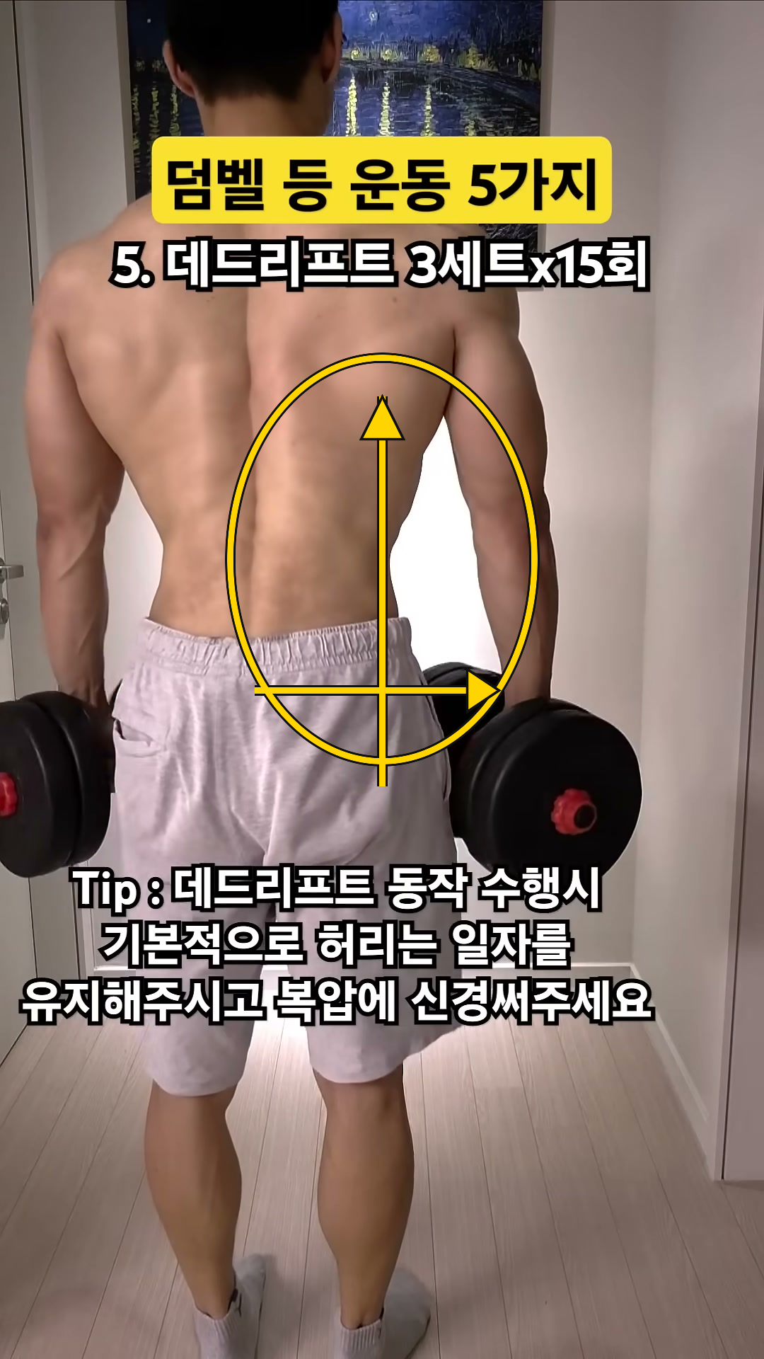 [등너비] 덤벨 데드리프트 동작 구간 대표 자세